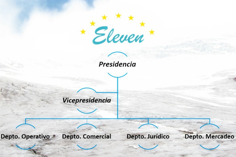 Estructura Organizacional Eleven